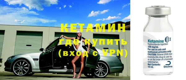 шишки Беломорск