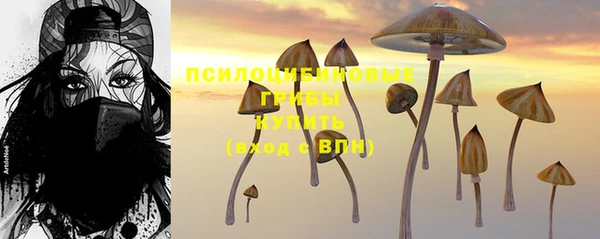 шишки Беломорск