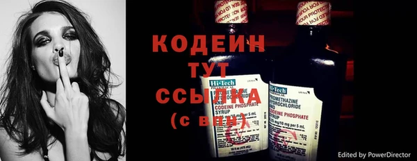 шишки Беломорск