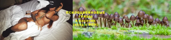 героин Белокуриха