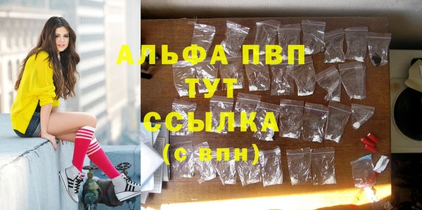 шишки Беломорск