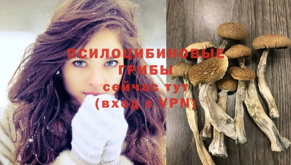 MDMA Белоозёрский