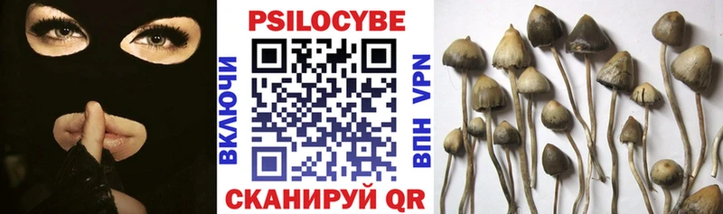 Псилоцибиновые грибы мицелий  наркотики  Будённовск 