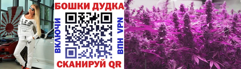 маркетплейс наркотические препараты  блэк спрут ссылка  Будённовск  МАРИХУАНА план 
